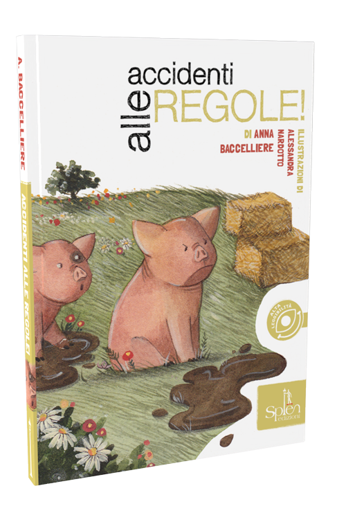 Accidenti alle regole